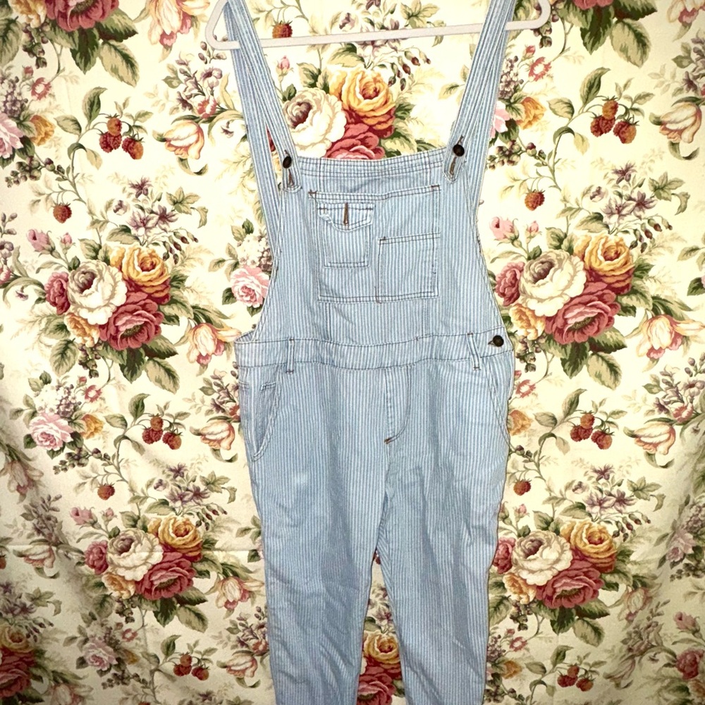 Luxe Women's Light Blue Striped Overalls